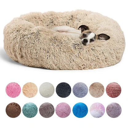 Dog Sleeping Bed